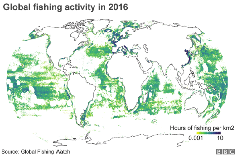Весь мировой рыболовный флот нанесли на карту