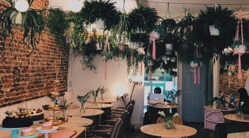 Самое фотогеничное и инстаграмное кафе в Лондоне: Palm Vaults в Хакни