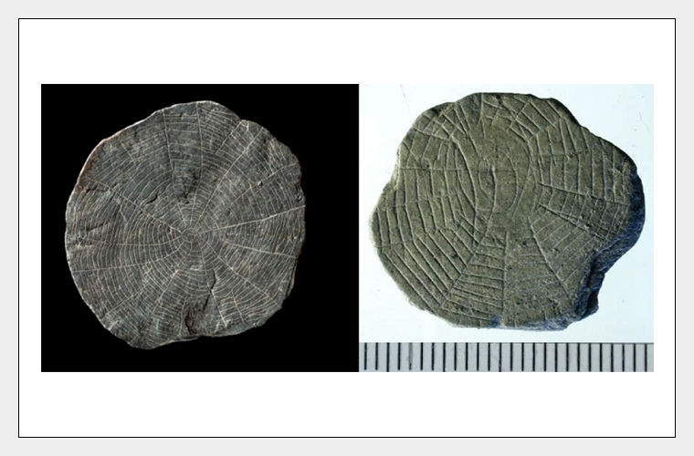 Таинственные «камни-паутины» заинтриговали датских археологов
