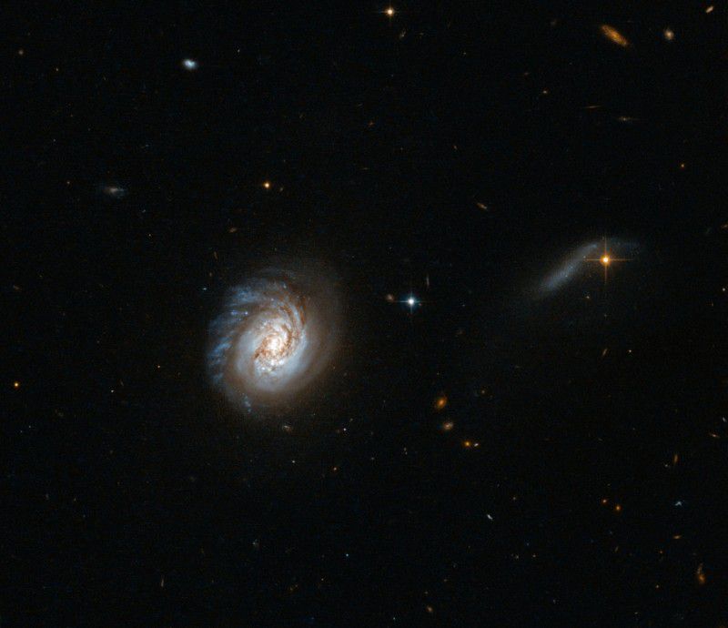 Новый снимок Hubble: Карликовая галактика MCG-03-04-014
