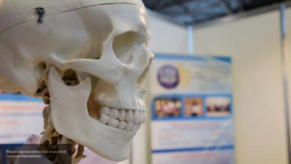Ученые раскрыли тайну "инопланетных" черепов цивилизации инков