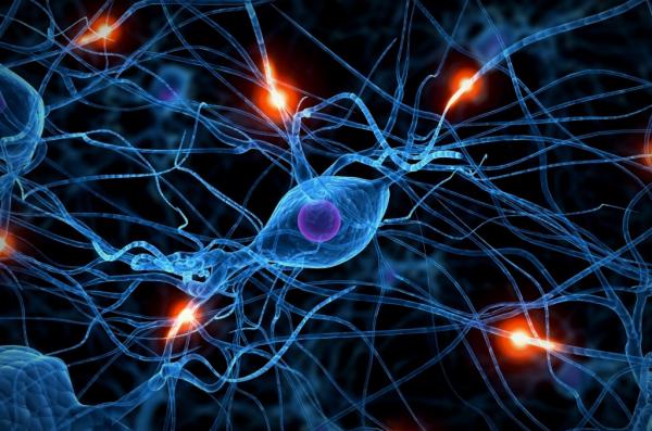 Ученые из США разработали новый способ измерения электрической активности мозга