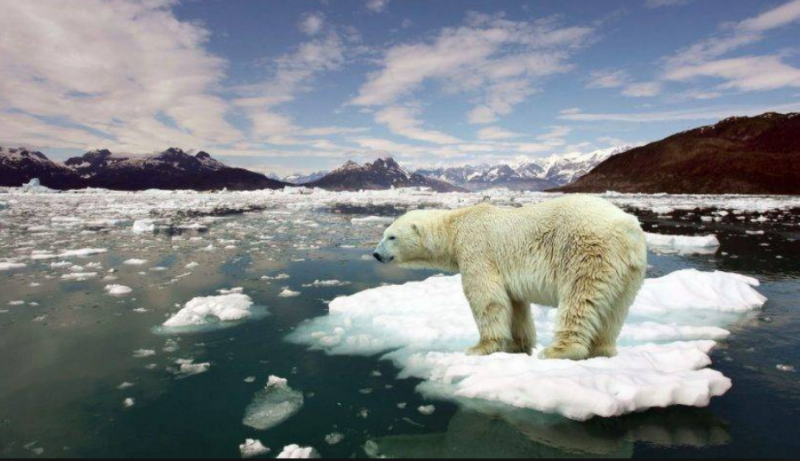 Ученые считают, что Арктика и Европа поменялись климатом