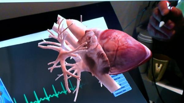 Виртуальная реальность поможет медикам изучать человеческую анатомию в 3D
