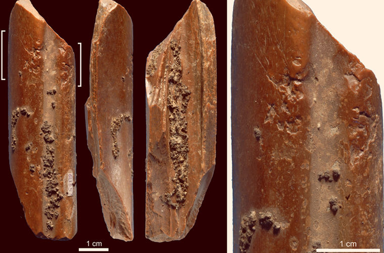 В Китае нашли инструменты возрастом 115 000 лет