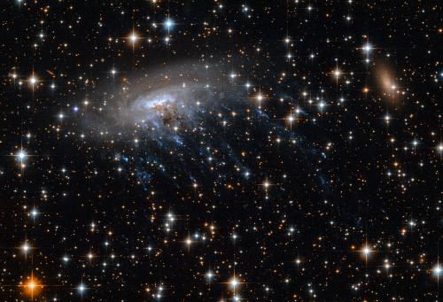 Новый снимок Hubble: спиральная галактика ESO 137-001