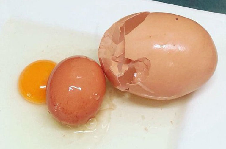 Внутри гигантского яйца было обнаружено еще одно