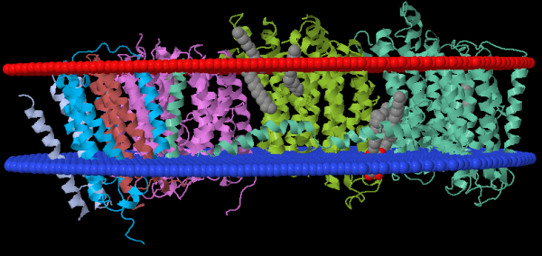 Ученые создали сложные трансмембранные белки с нуля