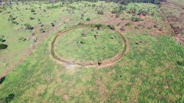 Археологи обнаружили 81 потерянное древнее поселение в тропиках Амазонки