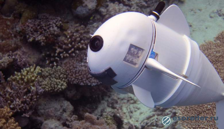 Ученые запустили в океан робота-рыбу