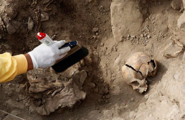 Артефакты викингов в канадской провинции заставили ученых пересмотреть историю