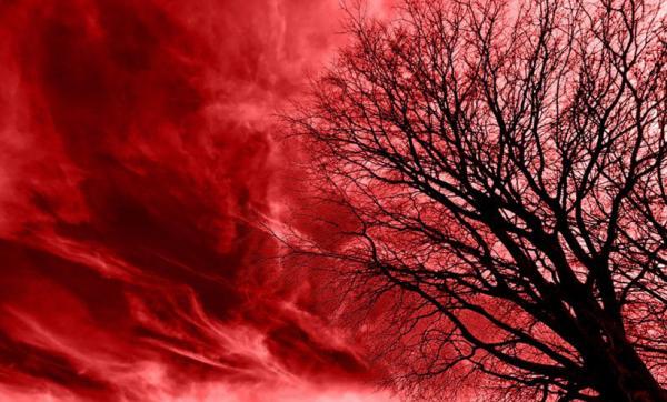 Красная мгла: Аномальный “призрачный огонь” в северных районах может быть результатом хемилюминесценции