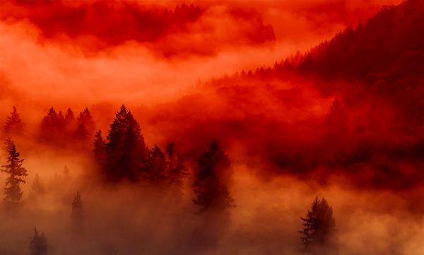 Красная мгла: Аномальный “призрачный огонь” в северных районах может быть результатом хемилюминесценции