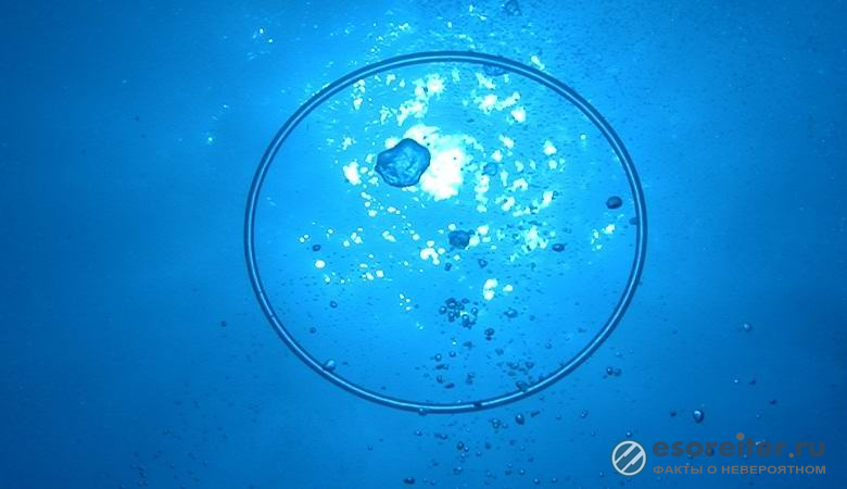 Дайверы наблюдали под водой воздушные пузыри в форме колец