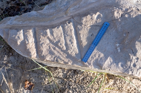 Древняя дорога возрастом 38 миллионов лет была найдена в Ростовской области