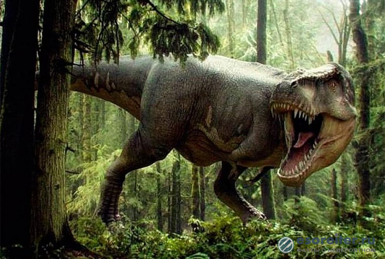 Палеонтологи обнаружили хорошо сохранившиеся останки тираннозавра