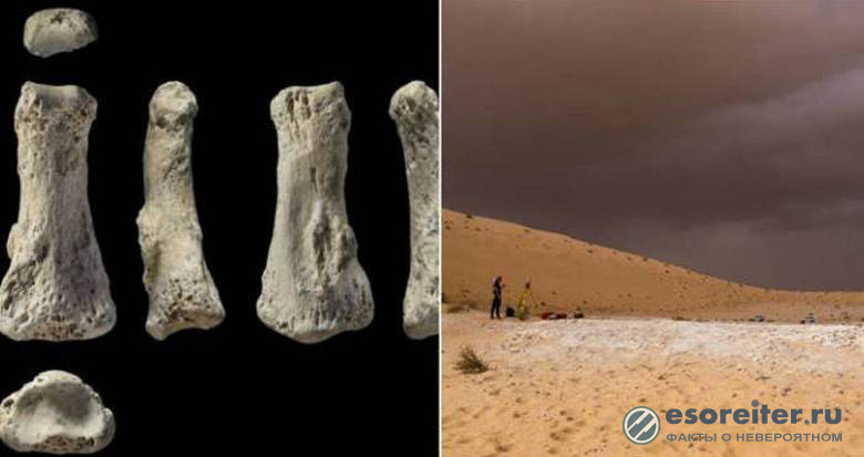 Археологи считают ошибочной теорию появления первого человека в Африке