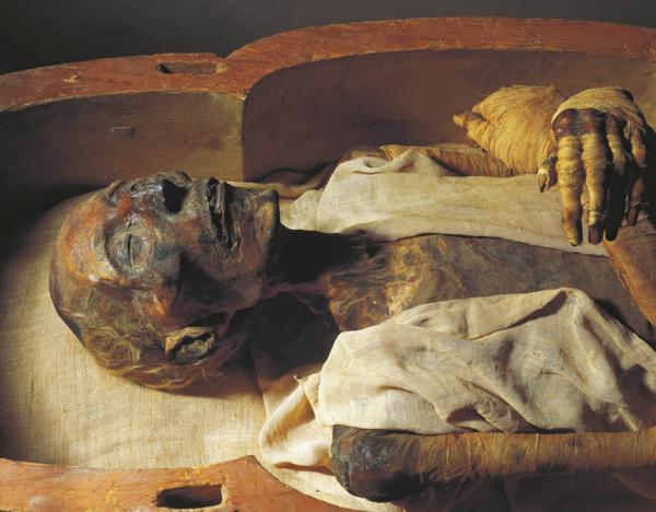 Следы никотина и кокаина в египетских мумиях заставили ученых пересмотреть историю древних времен