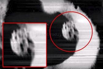 На старых снимках Lunar Orbiter 5 уфолог обнаружил странную куполообразную структуру