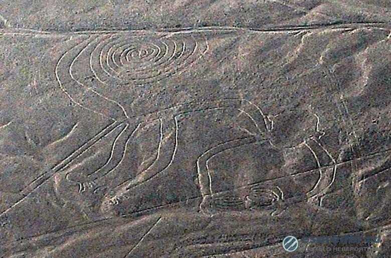 На плато Наска археологи обнаружили новые геоглифы