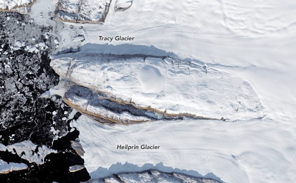 Гренландские ледники Трэйси и Хейлприн продолжают таять