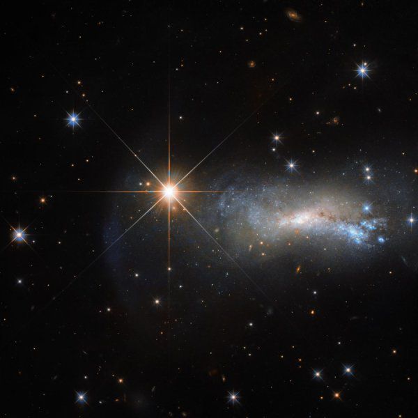 Снимок: «Хаббл» наблюдает яркую звезду в созвездии Ящерицы