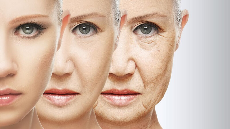 Ученые выяснили в каком возрасте организм начинает стареть