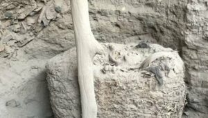 В Перу обнаружили столетний "кокон" с мумией