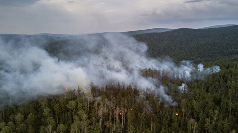 Пожар в Херсонской области охватил более 580 гектаров