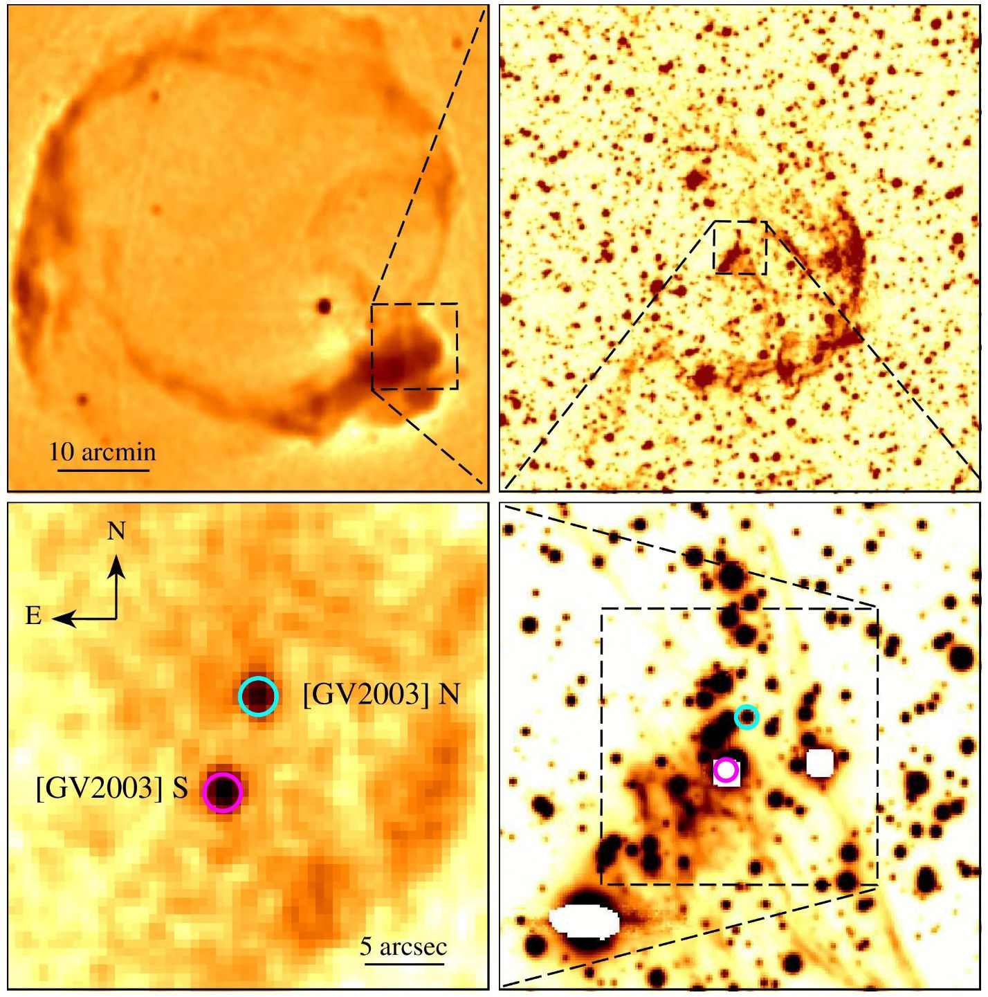 В остатках сверхновой обнаружена редкая звезда, обогащенная кальцием