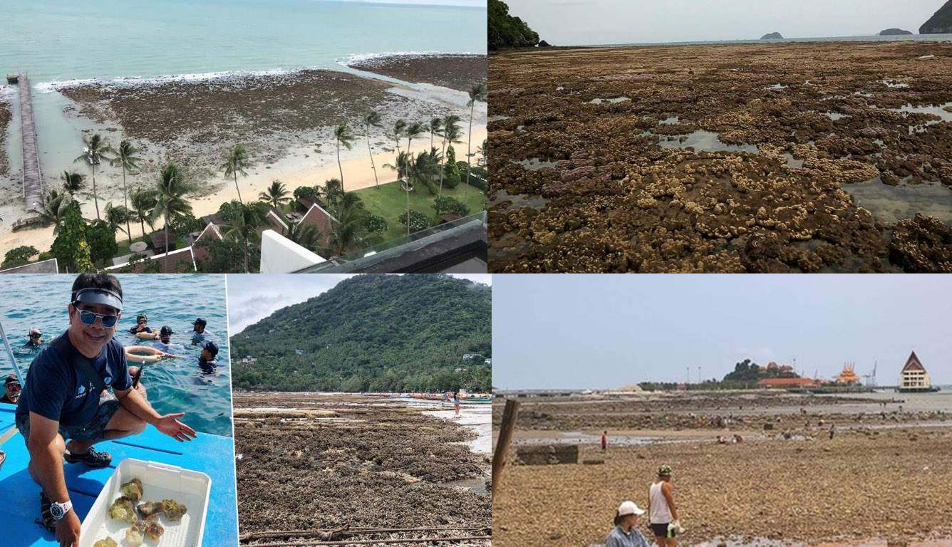 Ученые разводят руками: в Таиланде по неизвестным причинам вода отошла от берега на 2 км