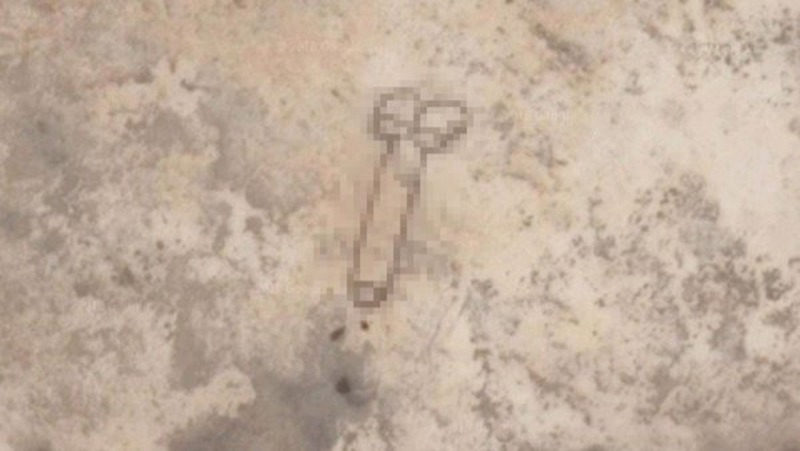В Австралии обнаружен самый большой пенис, который видно из космоса