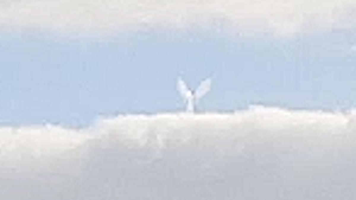 В Техасе в небе появился ангел: видео
