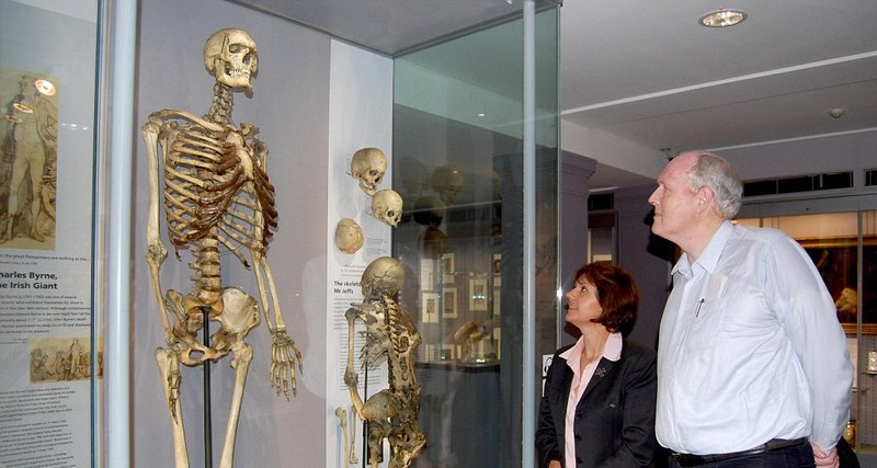 Просьбу умершего исполнят спустя 200 лет: Скелет "ирландского гиганта" наконец-то будет похоронен