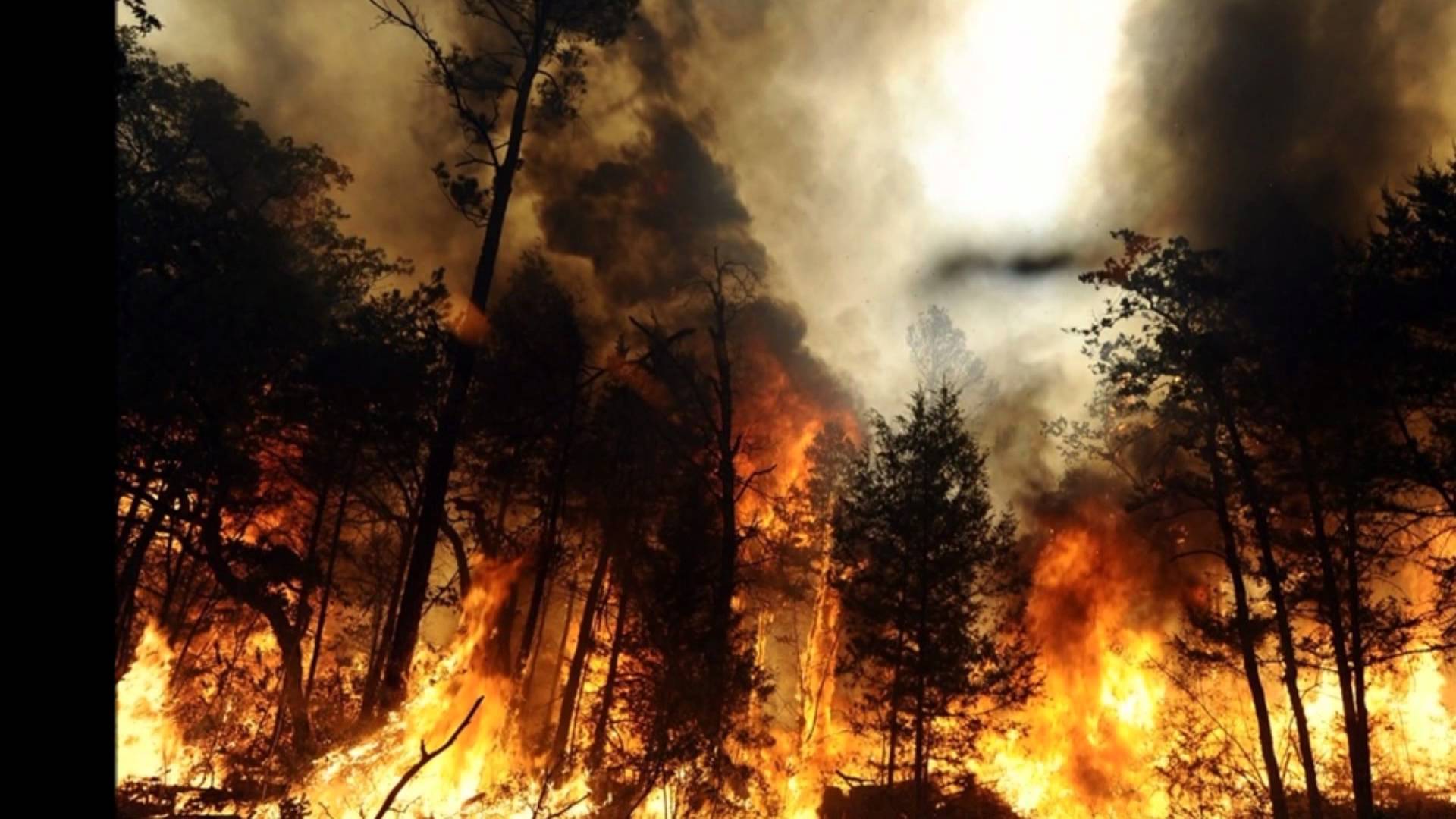 В Латвии вот уже несколько дней не удается затушить крупный лесной пожар