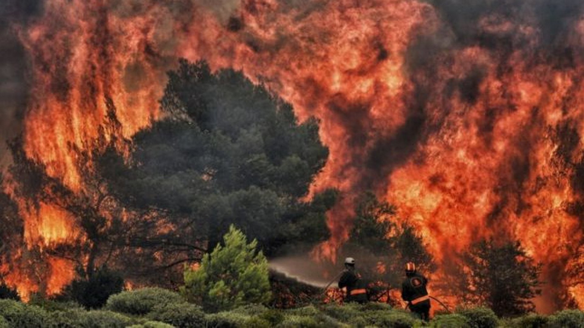 В Австралии полыхают около 80 пожаров