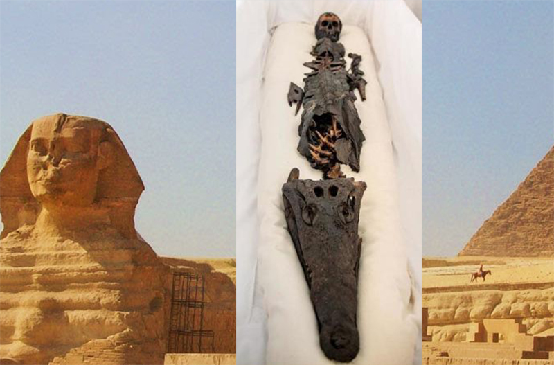 Странная находка в Египте: ученые обнаружили мумию с головами ребенка и крокодила