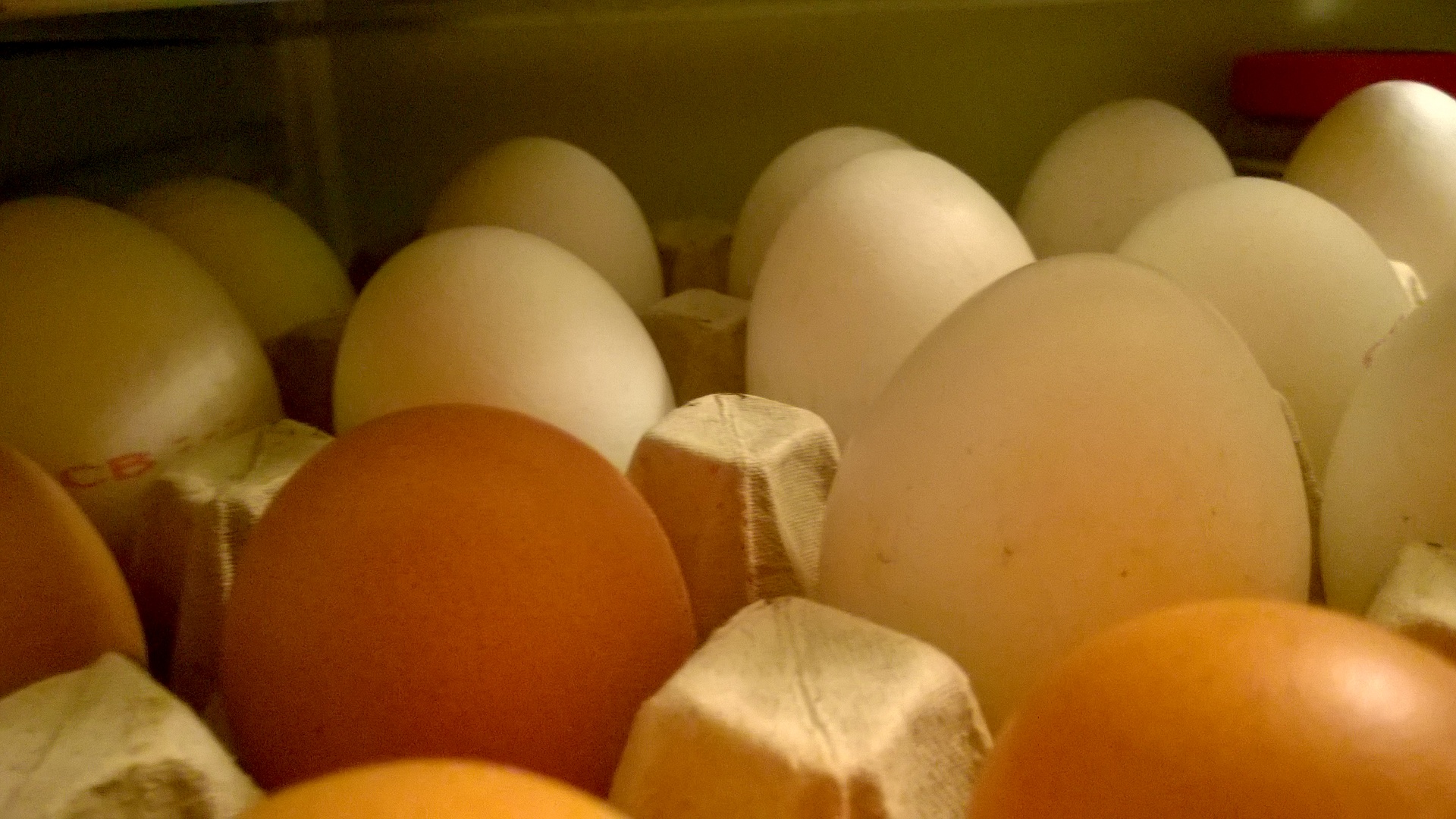Какие яйца лучше белые или коричневые?