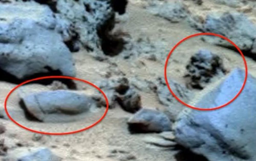 Скотт Уорринг обнаружил на Марсе череп гуманоида и щит