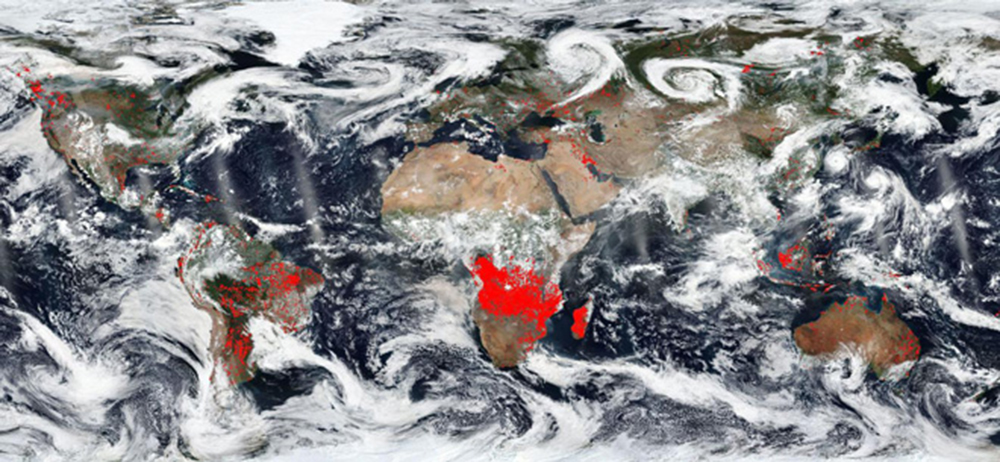 NASA представило фото лесных пожаров Земли