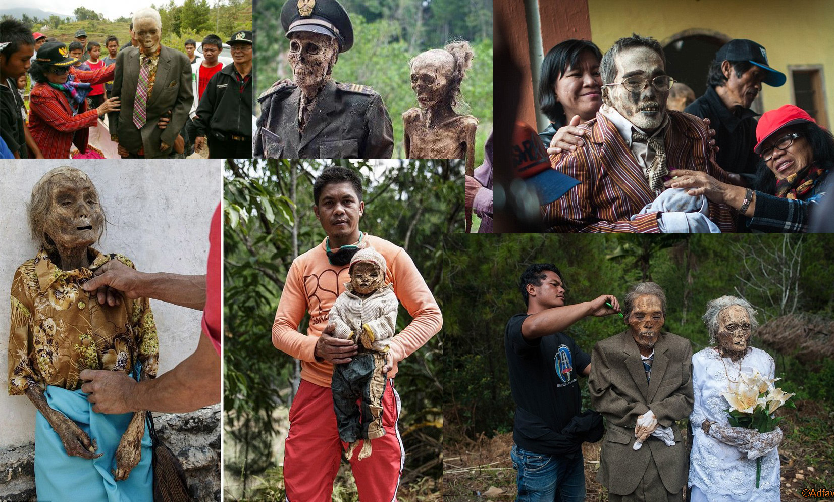 "Они выкапывают мертвых и одевают их в новую одежду": пользователи соцсетей шокированы жутким ритуалом в Индонезии