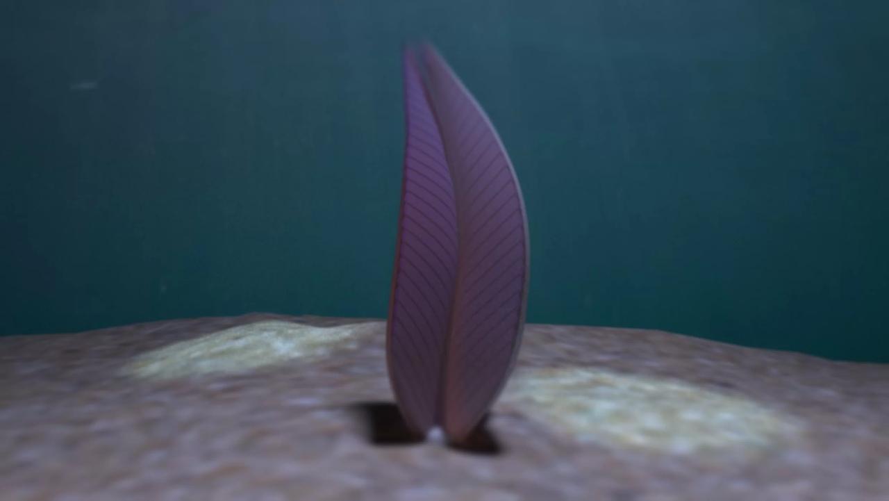 Ученые выяснили, что найденный окаменелый лист, возрастом 570 млн лет - животное