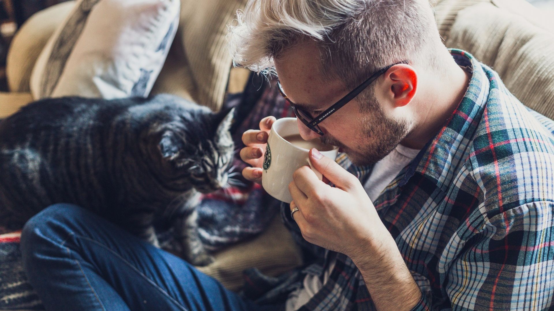 Ученые экспериментально доказали, что кошки могут продлить мужчинам жизнь