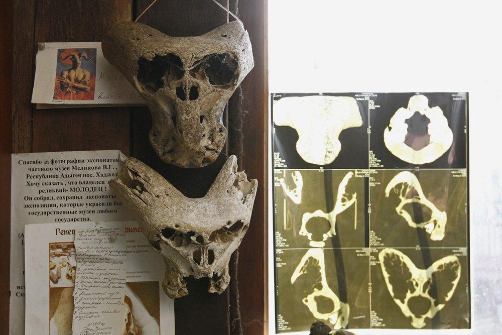 Пожилой отшельник из Адыгеи предоставил палеонтологическому музею черепа инопланетян