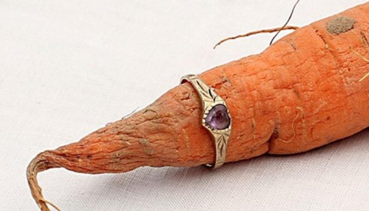Британка через 12 лет нашла потерянное кольцо на сорванной мужем морковке