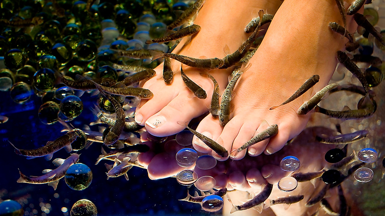 После модного педикюра рыбками, девушка один за другим лешилась пальцев на ноге