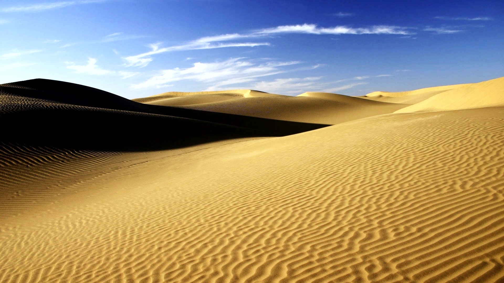 Сахара станет солнечной электростанцей планеты