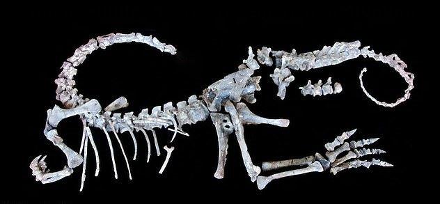 Американские ученые обнаружили скелет мини-динозавра размером с автомобиль