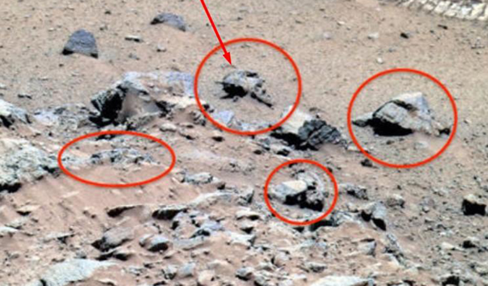 На Марсе обнаружен череп воина-пришельца