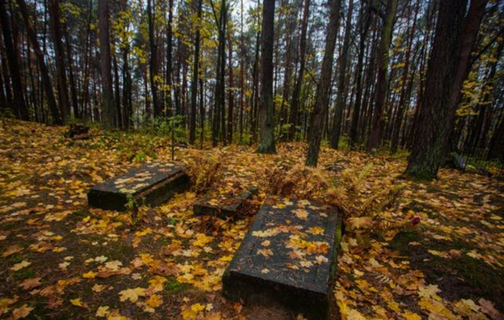 Гуляя по лесопарку в Гродно женщины случайно сфотографировали призрака мальчика